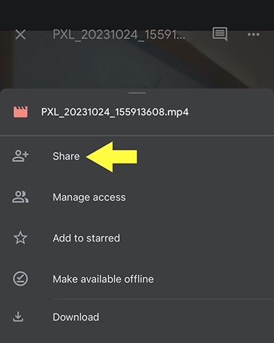 Import from Google Drive